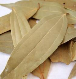 BAY LEAF(TEJPATA) 50g - KomeMame 米豆