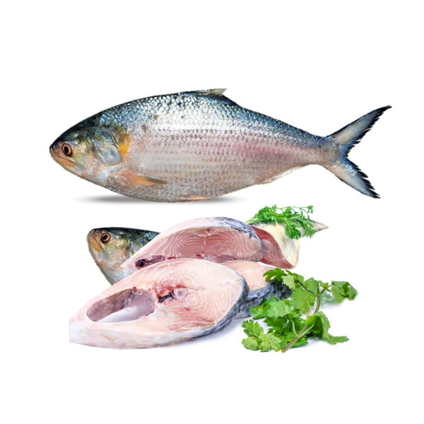 HILSHA 800g CUT - KomeMame 米豆