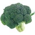 Broccoli ブロッコリー・1個 - KomeMame 米豆